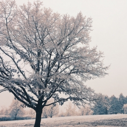 18.1.25, ab 10 Uhr: Neu: AUFATMEN! - ein Angebot am Sonntagmorgen- Special guest: Tirzah Haase, Schauspielerin