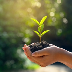 2. bis 5.4.: Die Kraft des Lebens feiern - Gottesdienste Gründonnerstag bis Ostersonntag mit Ausstellung